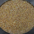 Size 11/0 Glossy Finish Silver-Lined Gold AB Color Miyuki Glass Seed Beads - Sold by 23 Gram Tubes (~ 2500 Beads / Tube) - (11-91003)