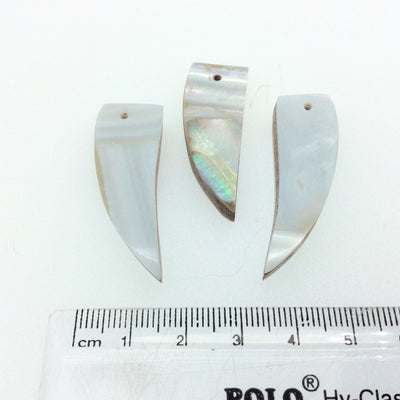 1 1/4" Iridescent White/Off White Natural Abalone Shell Tooth/Tusk Shaped Pendant - Measuring 13mm x 36mm, Approximately