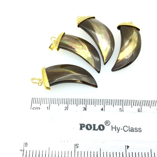 Paua Shell Claw Tooth Pendant, 15mm x 31mm with Gold plated Copper Bail