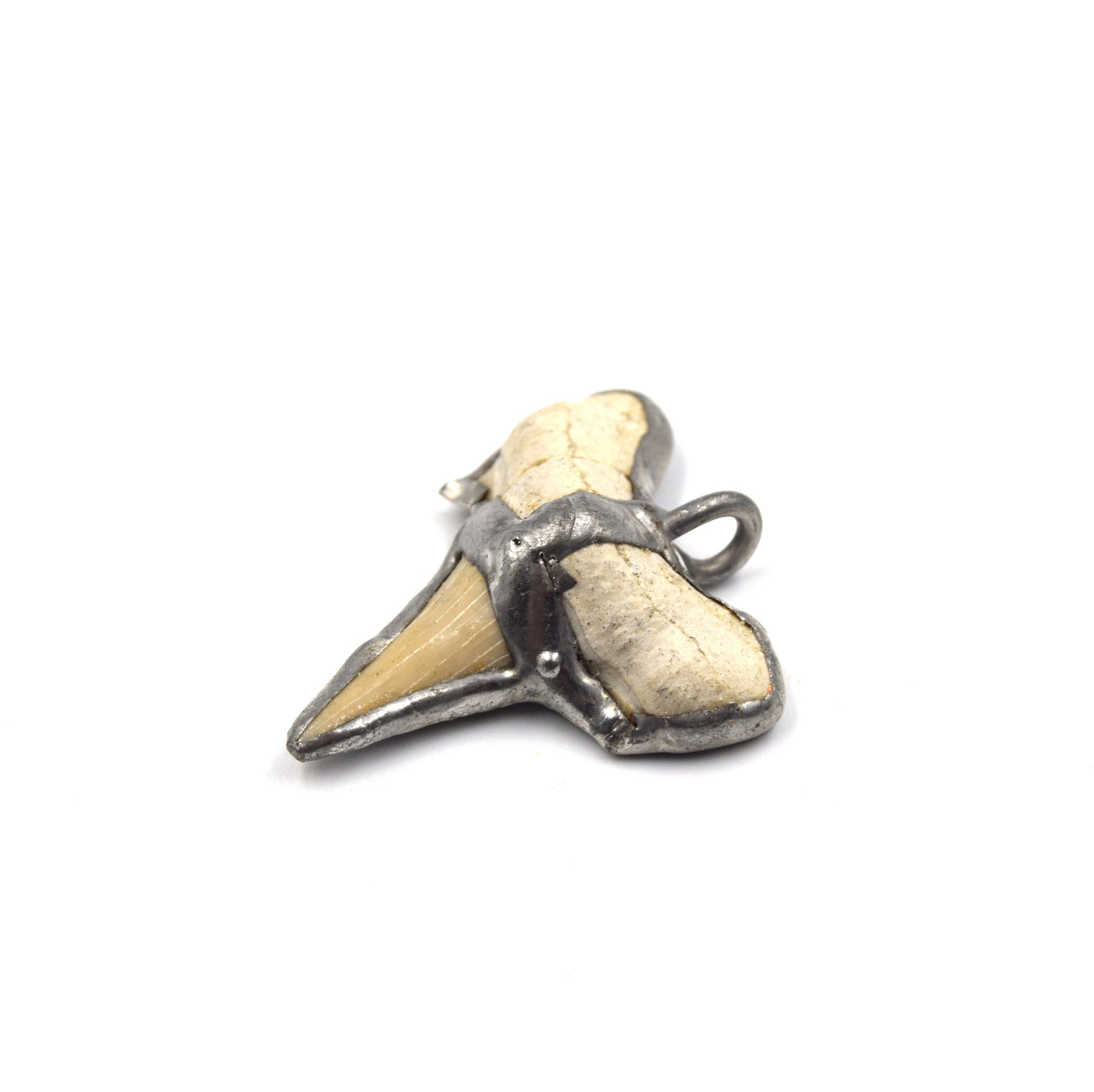 1.5" Silver Soldered Shark Tooth Pendant with Attached Ring - Measuring 35mm x 40mm, Approx.