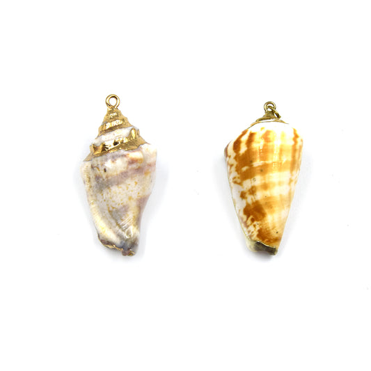 Gold Electroplated Natural Tulip Shell Pendant W/ Loop & Ring - Two Styles Available, Chosen at Random!