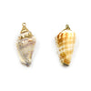 Gold Electroplated Natural Tulip Shell Pendant W/ Loop & Ring - Two Styles Available, Chosen at Random!