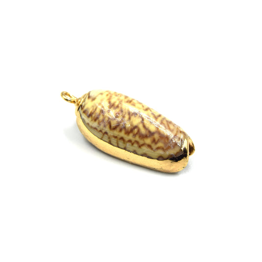 Gold Electroplated Natural Olive Shell Pendant W/ Loop & Ring - Chosen at Random!
