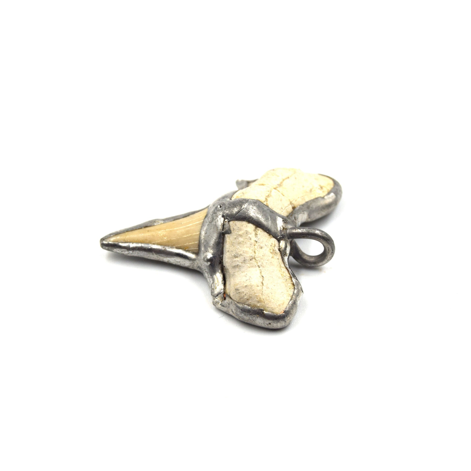 1.5" Silver Soldered Shark Tooth Pendant with Attached Ring - Measuring 35mm x 40mm, Approx.