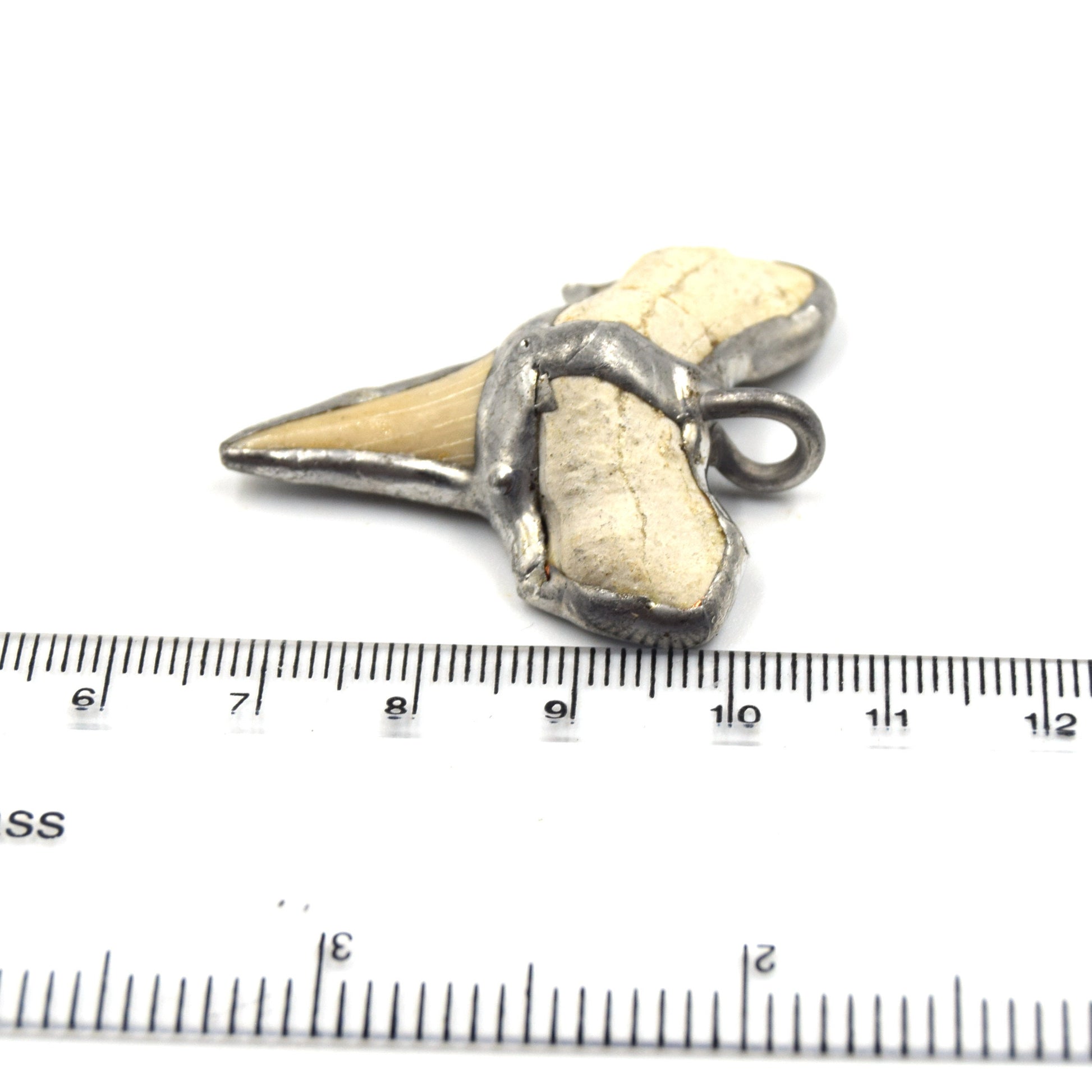 1.5" Silver Soldered Shark Tooth Pendant with Attached Ring - Measuring 35mm x 40mm, Approx.