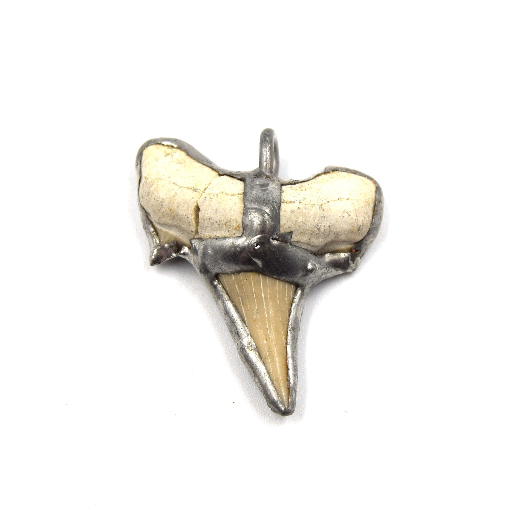 1.5" Silver Soldered Shark Tooth Pendant with Attached Ring - Measuring 35mm x 40mm, Approx.
