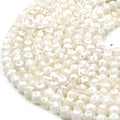 Tibetan Agate Beads | Dzi Beads | Dyed White Faceted Eye with Dot Round Gemstone Beads - 6mm 8mm 10mm 12mm Available