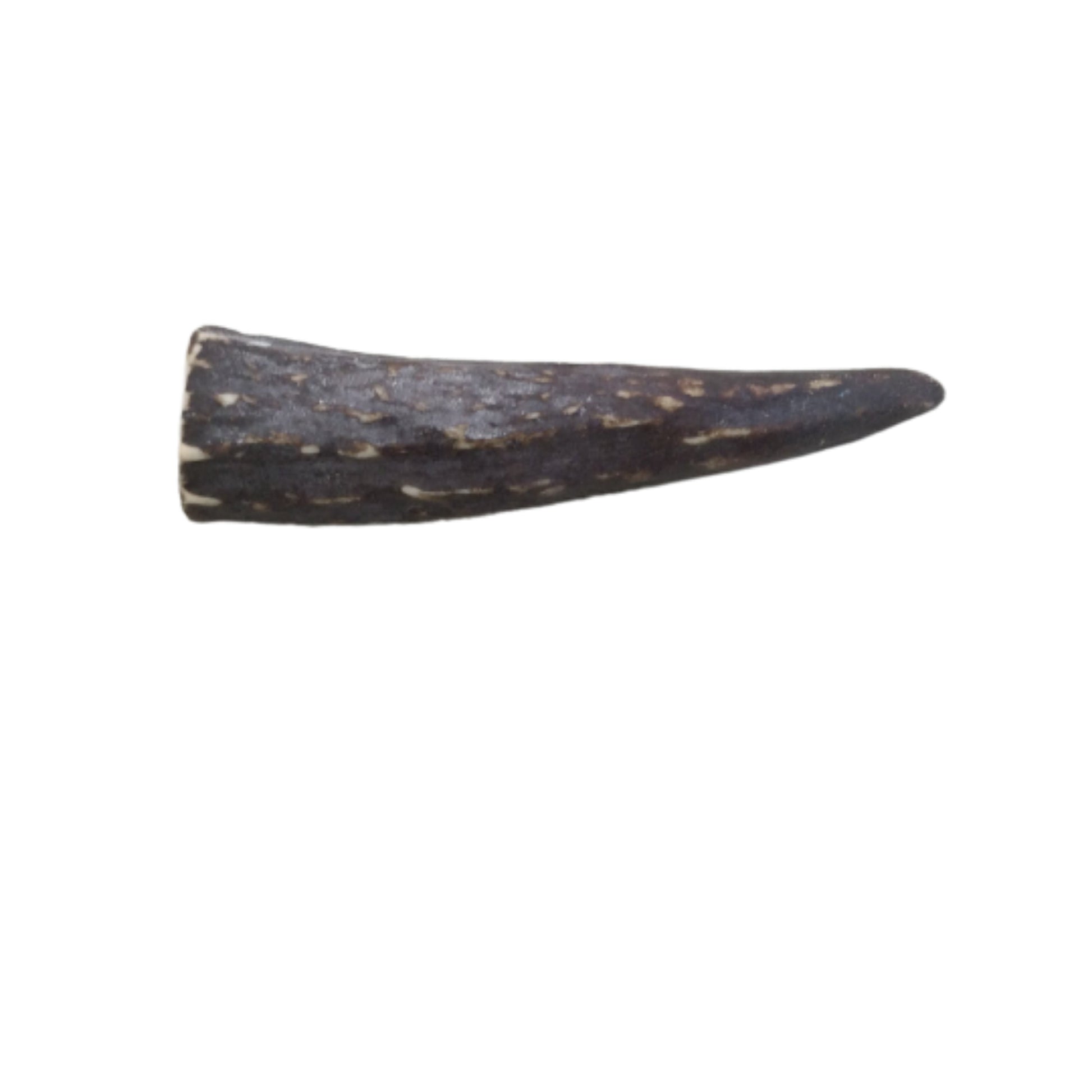 Tusk Pendant | 2.75" Dark Brown Dyed Acrylic Antler/Tusk Shaped Pendant with Side-Drilled Hole