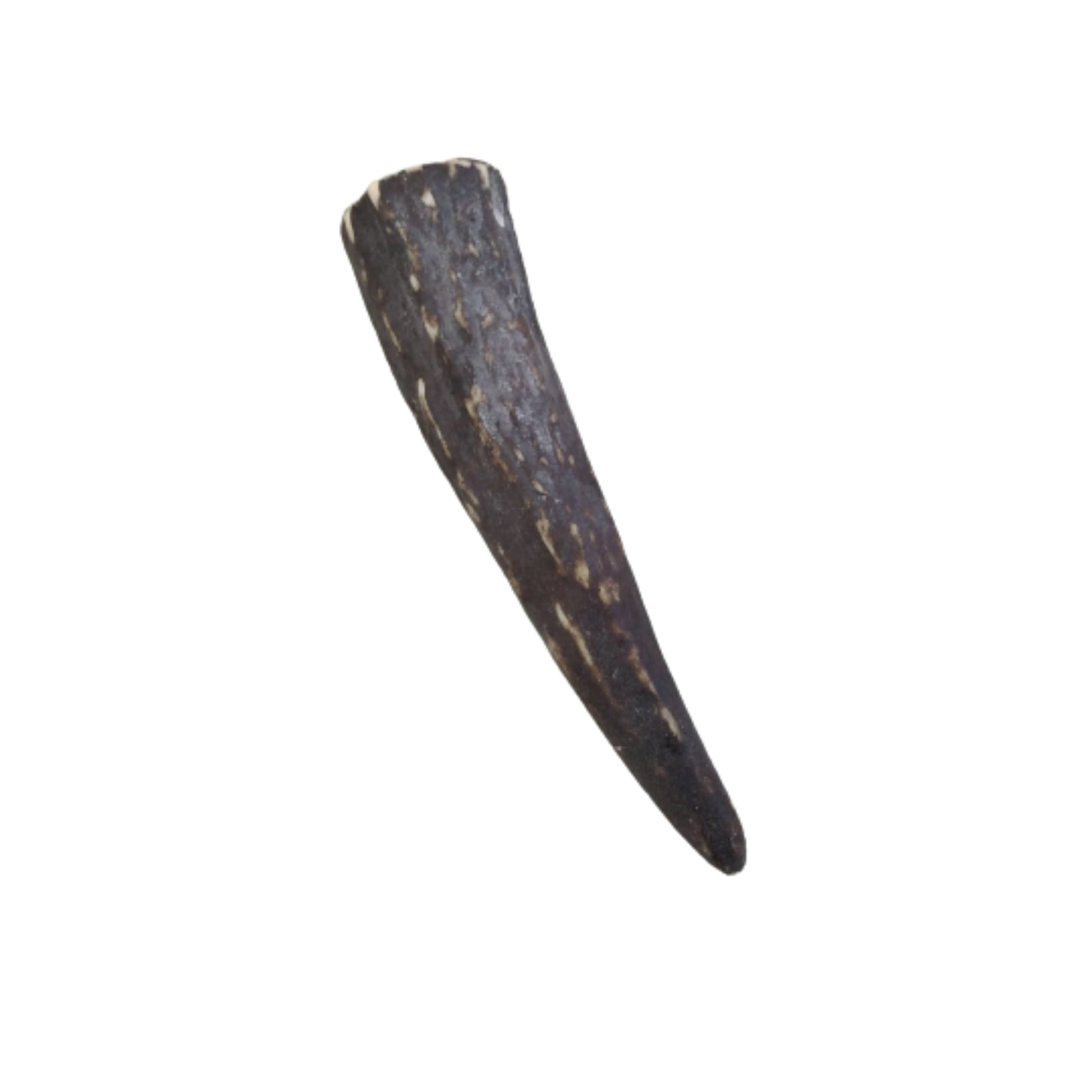 Tusk Pendant | 2.75" Dark Brown Dyed Acrylic Antler/Tusk Shaped Pendant with Side-Drilled Hole