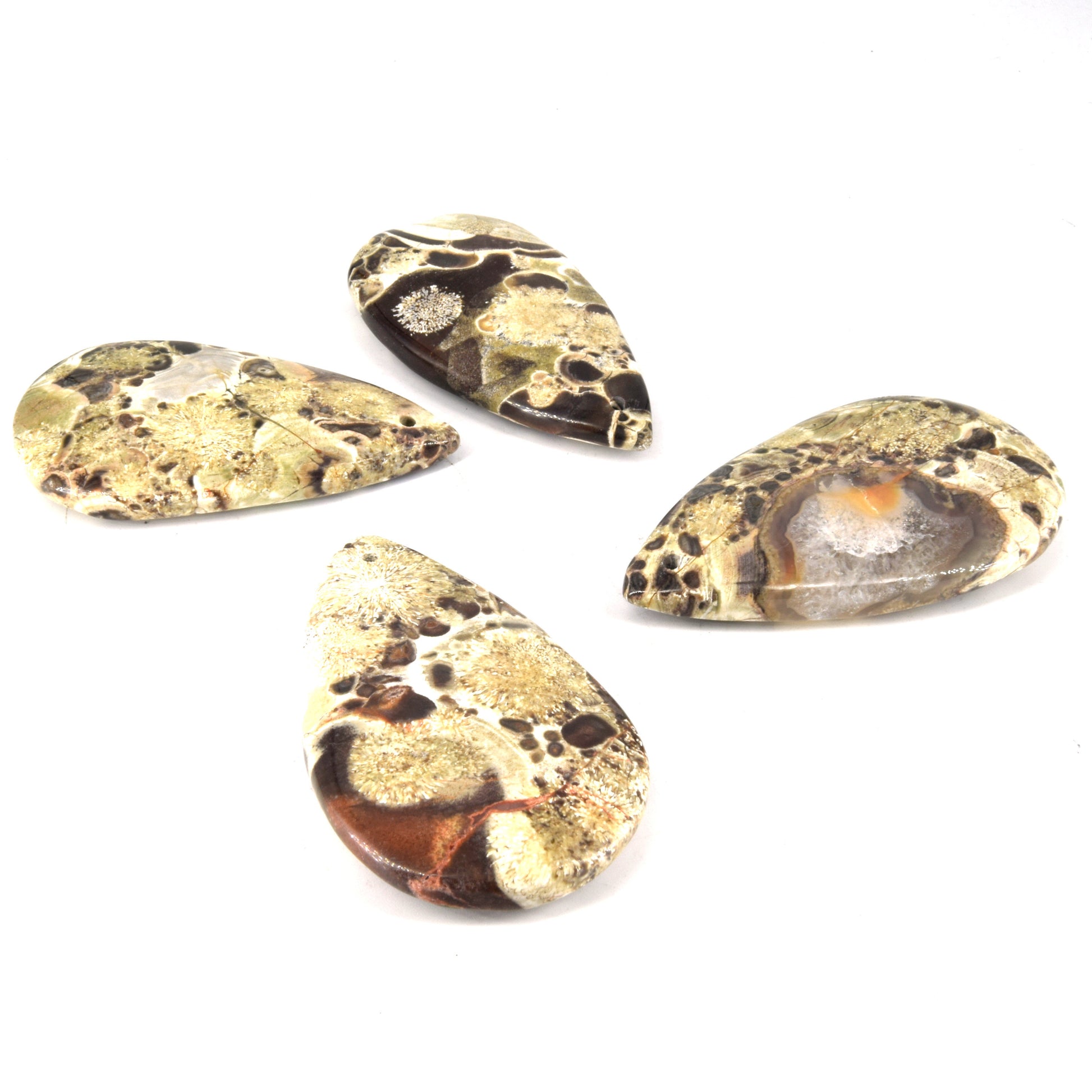 Drilled Brown Rhyolite Pendant | Natural Top-Drilled Brown Rainforest Jasper Cabochon | Brown Mushroom Jasper Teardrop Pendant