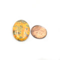 Bumble Bee Jasper Cabochon | Round Shaped Flat Back Cabochon | 20mm x 30mm - 6mm Dome Height | OOAK Natural Gemstone Cabochon