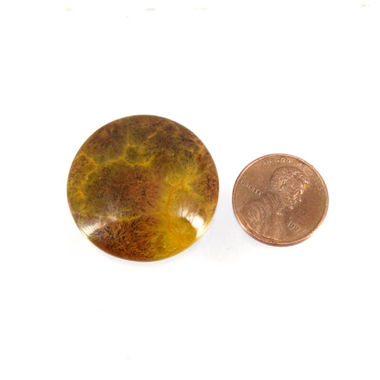 Ocean Jasper Cabochon | Round Flat Back Cabochon | 30mm x 30mm - 5mm Dome Height | OOAK Natural Gemstone Cabochon