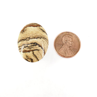 Picture Jasper Cabochon | Round Flat Back Cabochon | 21mm x 28mm - 4.5mm Dome Height | OOAK Natural Gemstone Cabochon | Loose Gemstone