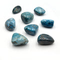 Gemstone Tumbles | 200 Gram Bags | Aquamarine, Zebra Jasper, Rhodonite, Moonstone, Rutilated Quartz, Apatite, Sunstone, Citrine | Bulk Stone