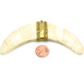 Flat Banana Crescent | Ox Bone Focal Pendant | Fancy Dotted Gold Bail | White Crescent Brown Crescent