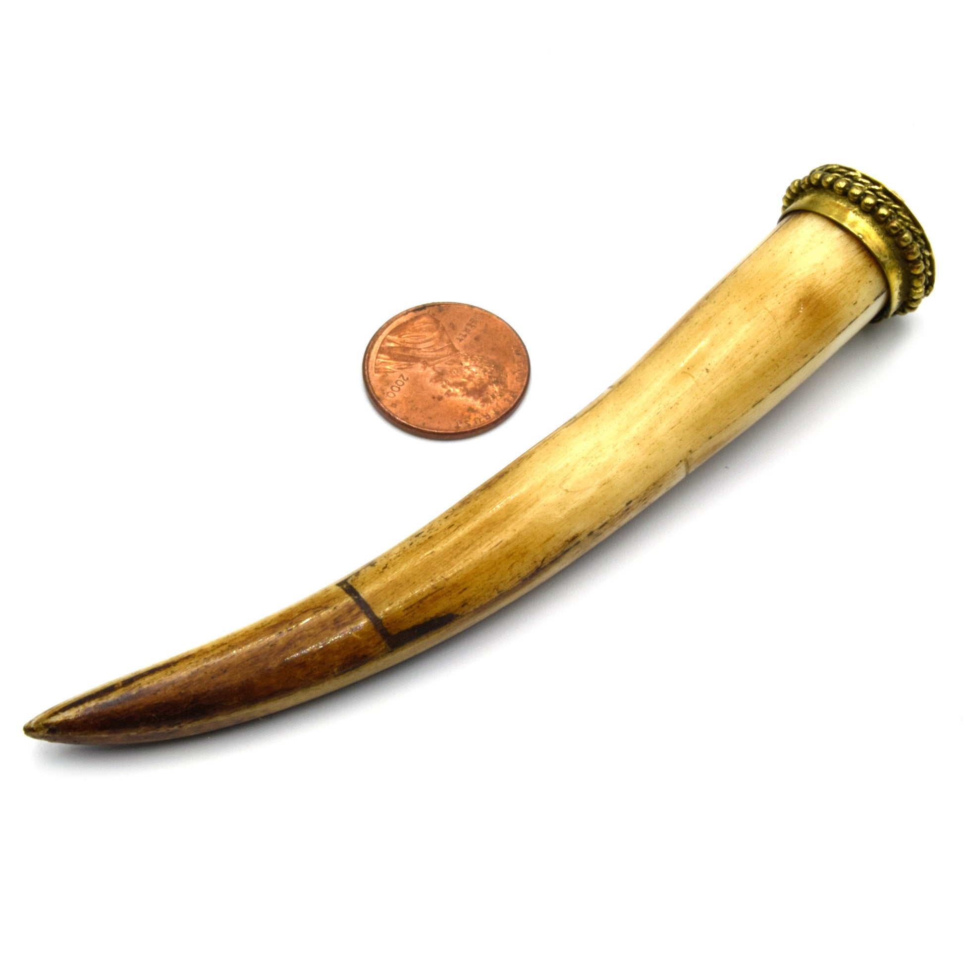 Bone Tusk Pendant | 4.5 Inch Ox Bone Focal Tusk Pendant | Horn Pendant | White Tusk Brown Tusk