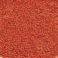 Size 11/0 Matte Finish Dyed Opaque Vermillion Genuine Miyuki Delica Glass Seed Beads -Sold by 7.2 Gram Tubes (Approx.1300 Beads per 2" Tube)