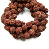 Natural Rudraksha Seed Beads - Sold by the Strand - 108 beads per Strand