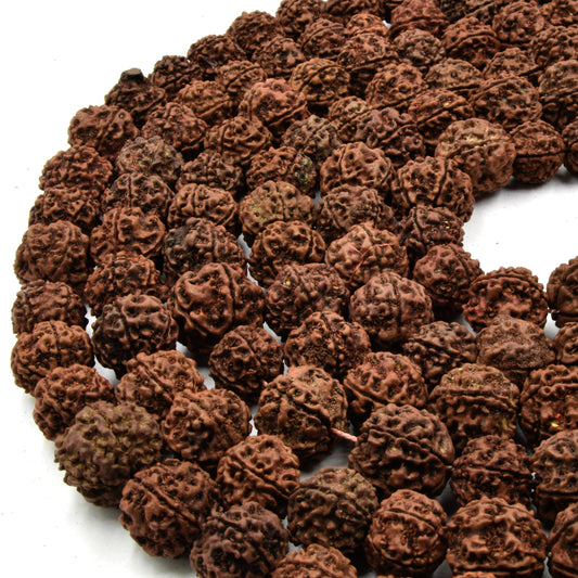 Natural Rudraksha Seed Beads - Sold by the Strand - 108 beads per Strand