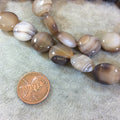 Light Brown Banded Agate Coin Beads, 15mm, approx. 26 beads per strand.