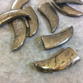Small Pyrite Horn (Tusk, Claw) Pendant, 17mm x 40mm