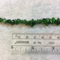Medium Chrome Diopside Chip Beads - 15.5" Strand (Approximately 125 Beads) - Measuring 7-8mm - Natural Semi-Precious Gemstone