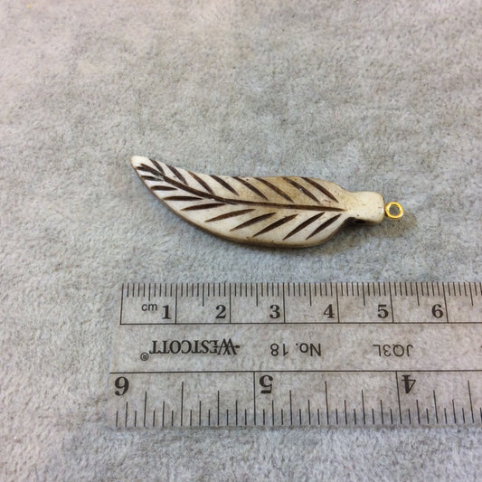 Skinny Leaf/Feather Shaped Natural Light Brown Bone Focal Pendants - Measuring 12mm x 50mm Approximately - Sold Individually. (BL 6)