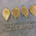 Large Gold Finish Electroplated Copper Leaf Pendants with Attached Bail - Measuring 60-70mm Long - Sold Individually