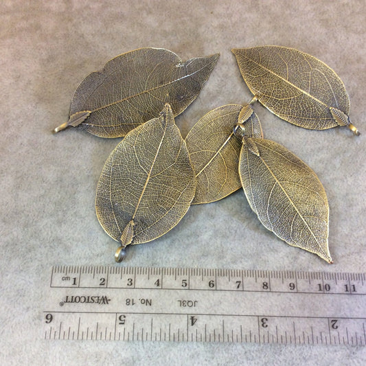 Large Brass Finish Electroplated Copper Leaf Pendants with Attached Bail - Measuring 60-70mm Long - Sold Individually