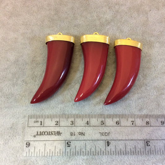 Flat Dark Red Glass Tusk/Claw Shaped Pendant with Gold Finish Cap - Measuring 21mm x 49mm, Approx. - More Colors Available, See Links!