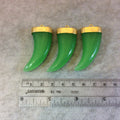 Flat Jade Green Glass Tusk/Claw Shaped Pendant with Gold Finish Cap - Measuring 21mm x 49mm, Approx. - More Colors Available, See Links!