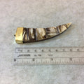 3.5" Swirled Brown Flat Tusk/Claw Shaped Warm Brown Wooden Pendant with Natural Abalone Shell Overlay - Measuring 24mm x 90mm - (TR056-SH)