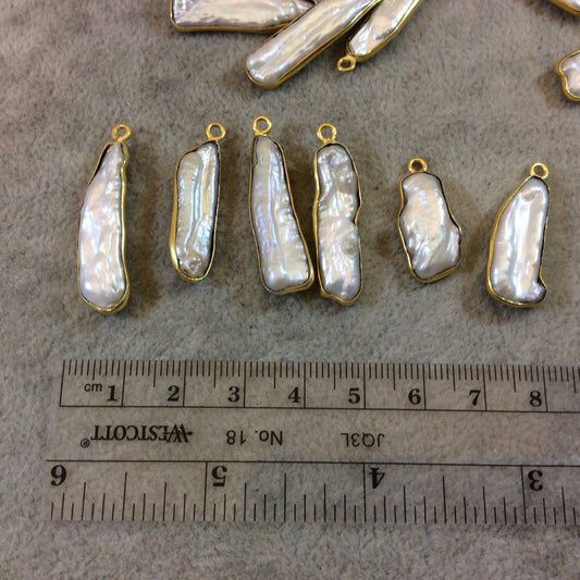 Gold Finish Iridescent White Biwa Pearl Freeform Bezel Pendant Component - Measuring 20-30mm Long, Shape Varies - Sold Individually, Random