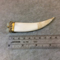 3.5" White/Ivory Flat Tusk/Claw Shaped Natural Ox Bone Pendant with Dotted Gold Cap - Measuring 20mm x 90mm, Approx. - (TR053-WH)