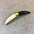 3.5" Black/White Bicolor Thick Banana Crescent Shaped Natural Ox Bone Pendant with Gold Plated Bail - Measuring 14mm x 90mm - (TR116))
