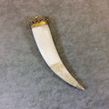 3.5" White/Ivory Flat Tusk/Claw Shaped Natural Ox Bone Pendant with Dotted Gold Cap - Measuring 20mm x 90mm, Approx. - (TR053-WH)