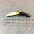 3.5" Black/White Bicolor Thick Banana Crescent Shaped Natural Ox Bone Pendant with Gold Plated Bail - Measuring 14mm x 90mm - (TR116))
