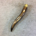 SALE 5" Wavy Wire/Bevel Inlay Brown Ox Bone Tusk/Claw Shaped Pendant with Floral Patterned Gold Cap - Measuring 18mm x 125mm