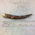 SALE - 5" Long Dot/Spotted Brown Ox Bone Tusk/Claw Shaped Pendant with Floral Patterned Gold Cap - Measuring 18mm x 130mm