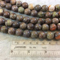 12mm Smooth Round/Ball Shaped Green/Brown Mushroom Jasper Beads - 16.25" Strand (Approximately 34 Beads) - Natural Semi-Precious Gemstone