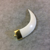 SALE - 3" Long Curved Tusk/Claw Shaped Ivory/White Acrylic Pendant with Gold Finish Cap - Measuring 18mm x 73mm, Approximately
