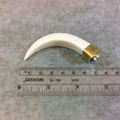 SALE - 3" Long Curved Tusk/Claw Shaped Ivory/White Acrylic Pendant with Gold Finish Cap - Measuring 18mm x 73mm, Approximately