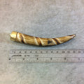 SALE - 5" Spiral Striped LightBrown Round Tusk/Claw Shaped Natural OxBone Pendant with Gold Floral Cap - Measuring 18mm x 130mm