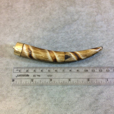SALE - 5" Spiral Striped LightBrown Round Tusk/Claw Shaped Natural OxBone Pendant with Gold Floral Cap - Measuring 18mm x 130mm