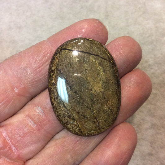 Bronzite Oblong Oval Shaped Flat Back Cabochon "2" - Measuring 29mm x 39mm, 6mm Dome Height - Natural High Quality Gemstone