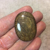 Bronzite Oblong Oval Shaped Flat Back Cabochon "2" - Measuring 29mm x 39mm, 6mm Dome Height - Natural High Quality Gemstone