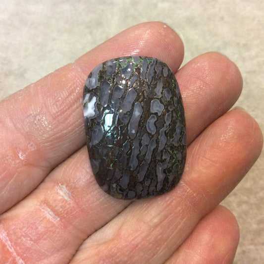 Petrified Dinosaur Bone Rectangle Shaped Flat Back Cabochon - Measuring 23mm x 32mm, 4mm Dome Height - Natural High Quality Gemstone