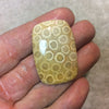 Premium Fossil Coral Rectangle Shaped Flat Back Cabochon - Measuring 26mm x 38mm, 6mm Dome Height - Natural High Quality Gemstone