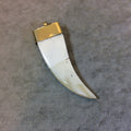 2.75" Flat White/Ivory Bone Tusk Shape Pendant with Gold Plated Cap and Bail - Measuring 20mm x 65mm, Approximately (TR058-WH)