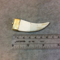 2.75" Flat White/Ivory Bone Tusk Shape Pendant with Gold Plated Cap and Bail - Measuring 20mm x 65mm, Approximately (TR058-WH)